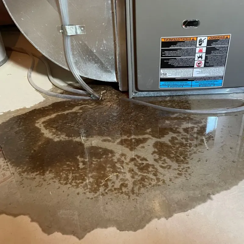 Pipe Burst and Leak Restoration in Bayard, NE